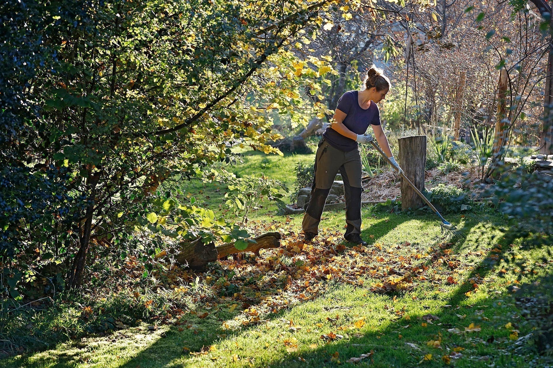 Gartenpflege Gehölzschnitt