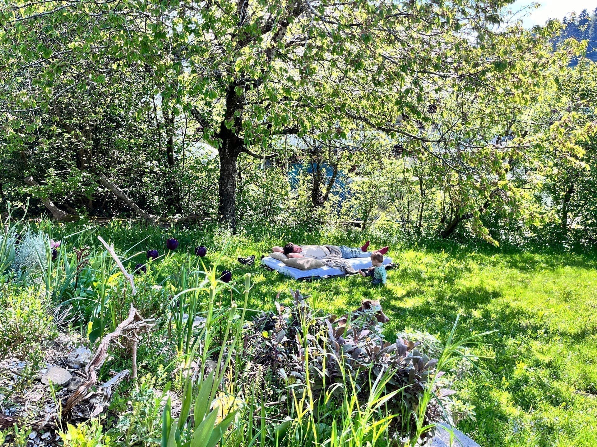 Naturnaher Garten 1