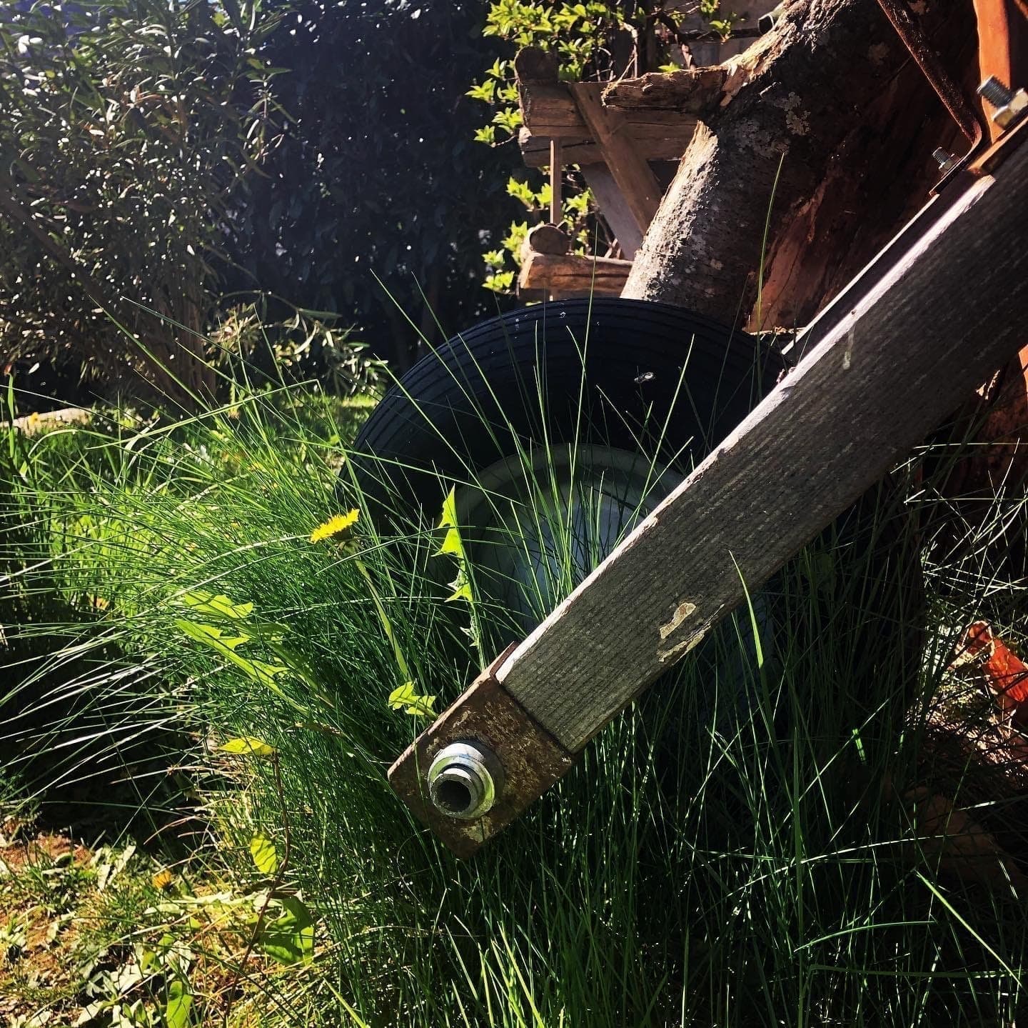 Naturnaher Garten 2